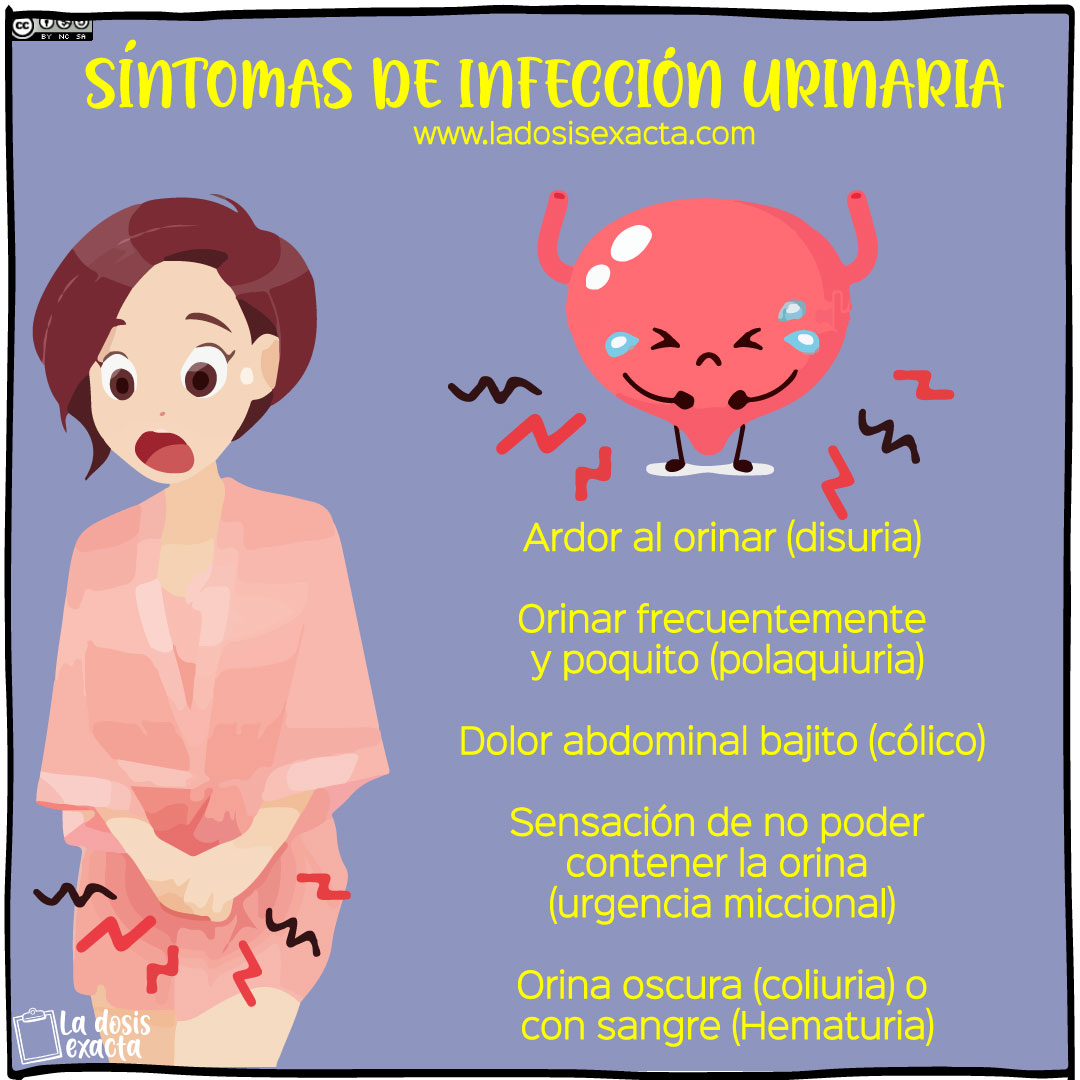 Infecci N Urinaria En La Mujer S Ntomas Tratamiento Y Prevenci N